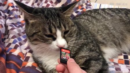 [维诺家]猫咪对含有苦味剂的NS卡带会有什么反