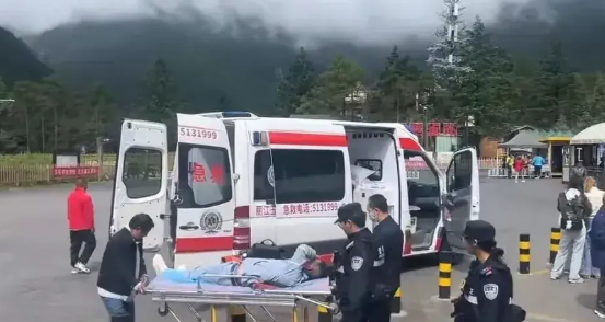 云南导游挨打了。7月3日凌晨，导游去酒店接游客去玉龙雪山。到了蓝月谷，一名孩子