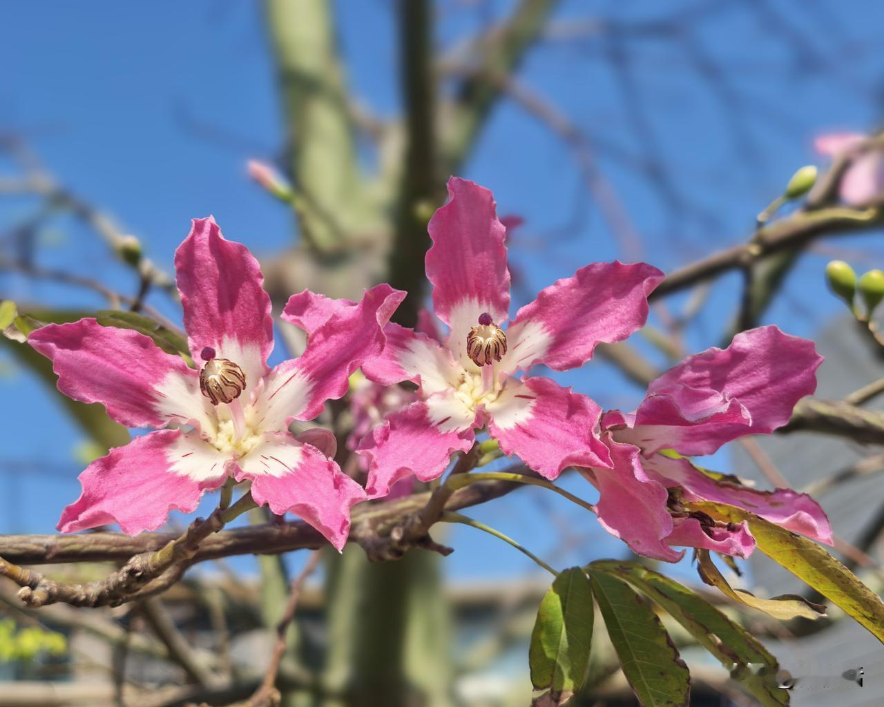 有两句话温暖了五六十岁的人：“人一旦过了60岁还健康活着，你就赢了”“人过了60