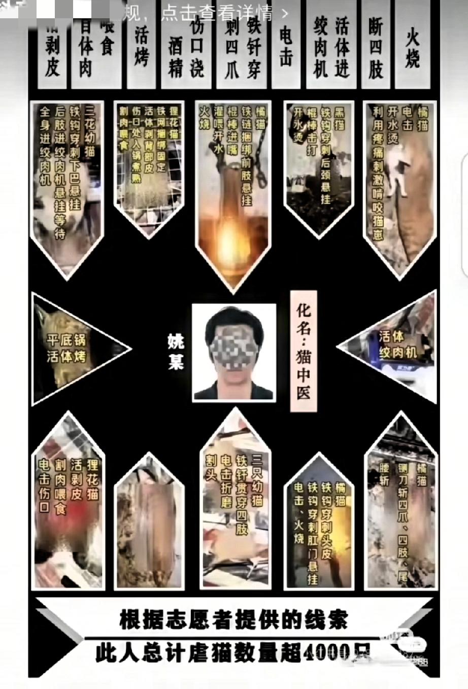 律师三年虐杀4000只猫！被开除就完了？这才是关键上海律师姚某三年虐杀40