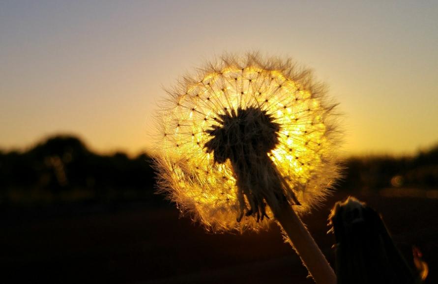 美联储十二月到底会不会降息？我认为大概率是会的，即便不降，我认为央行一月份也有非