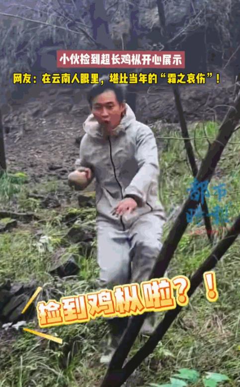 “天降横财！”重庆开州，一男子上山采菌，找了两三个小时准备下山时，竟在一棵大树后