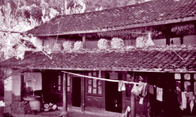 “羞耻啊，鬼子一边蹂躏我的身体，一边兽性大发地咬下我一块肉，这就是伤疤！”这是慰