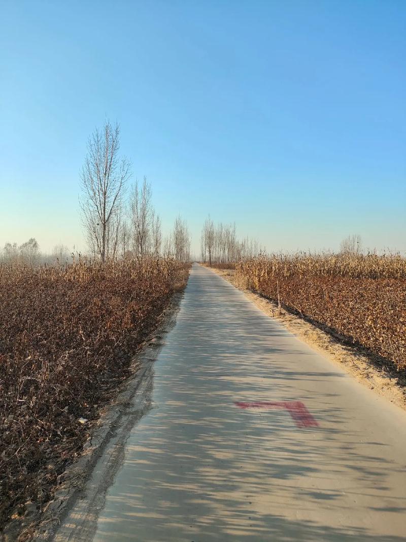 今天这个事真的让人挺扎心的，隔壁村的老杨，今年75岁，前两个月确诊了胃癌，整个人