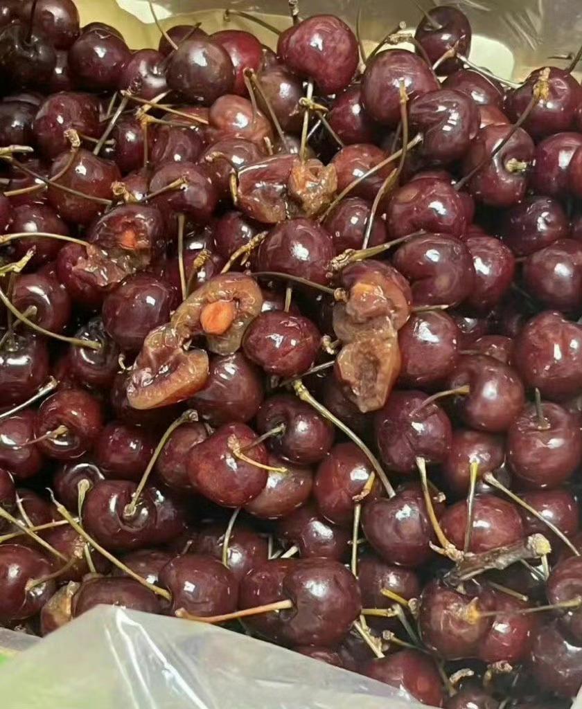 收到这样一箱车厘子，我不该生气吗？爱吃车厘子的人天塌了