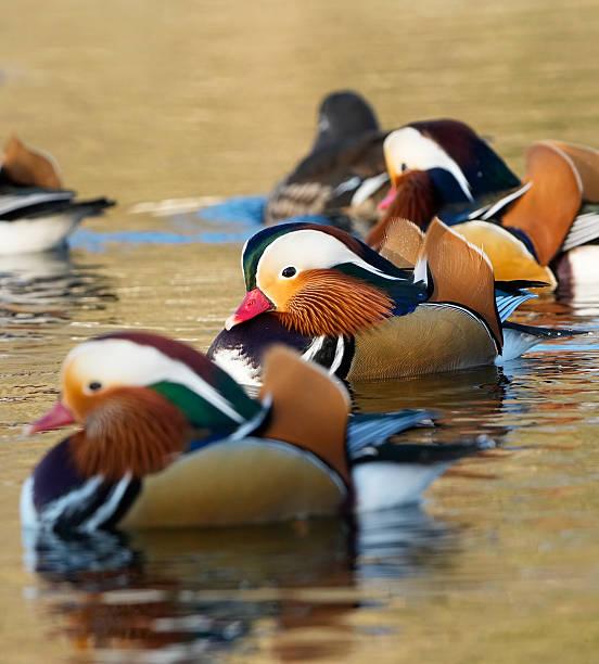 一位在城里安家的农村人问：城市有楼，农村老房子到底还值不值得重建？很多人有这
