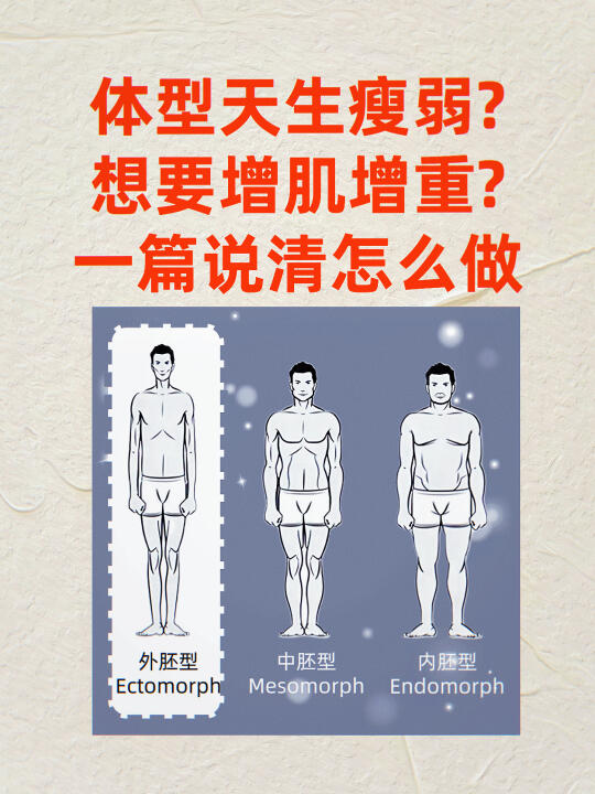 体型天生瘦弱？想要增肌增重？