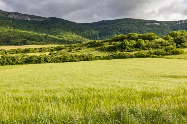 一位成功商人说：想赚钱别只刷心灵鸡汤：研究一个真富人的公开信息，胜过十门课。