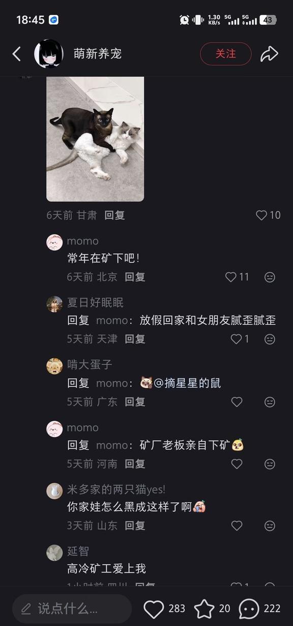 网友们还是太全面了脑洞最大只有网友一旦接受了这个设定把人笑拥了不要太搞笑