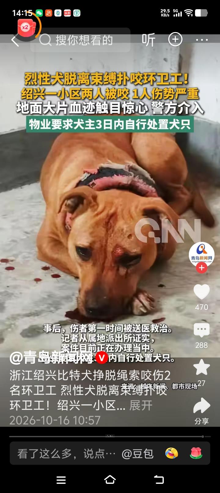环卫工人被比特犬死死咬住手臂数分钟！10月10日清晨六点多，两位环卫阿姨正在