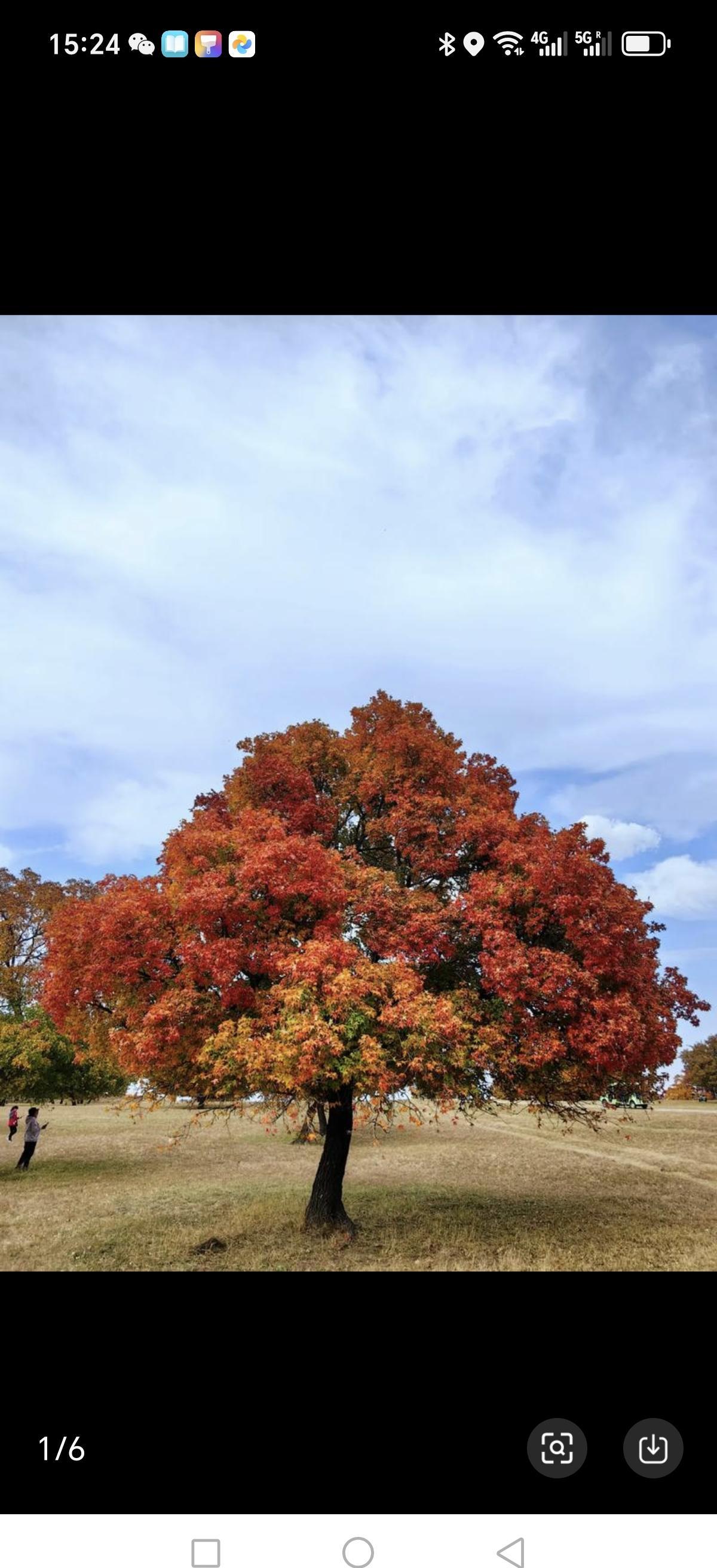 热水器坏了，等市政审批等了25小时，最后三十分钟修完收了450加元。这钱不是