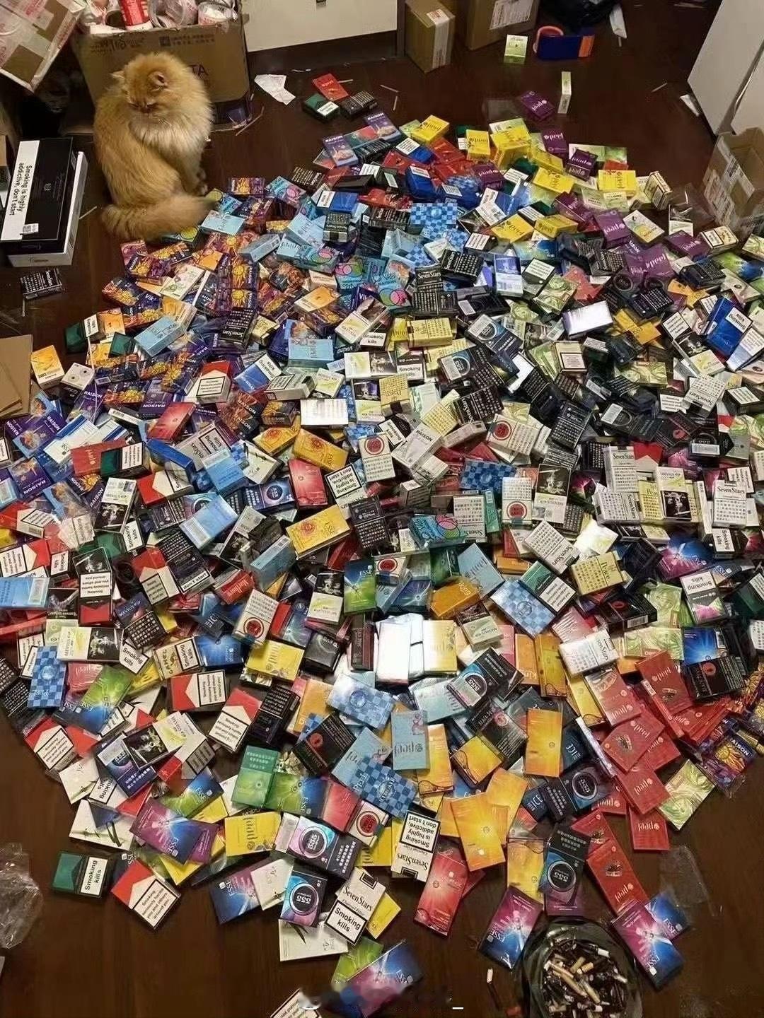 一年的量我这在微博算什么水平？​​​​