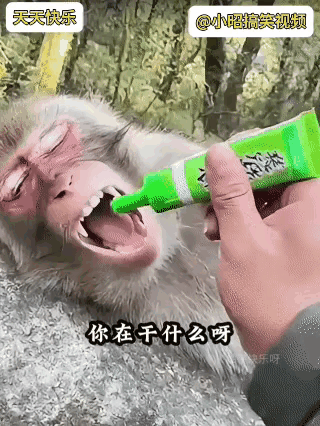 猴子这次被玩死了[捂脸哭][汗]