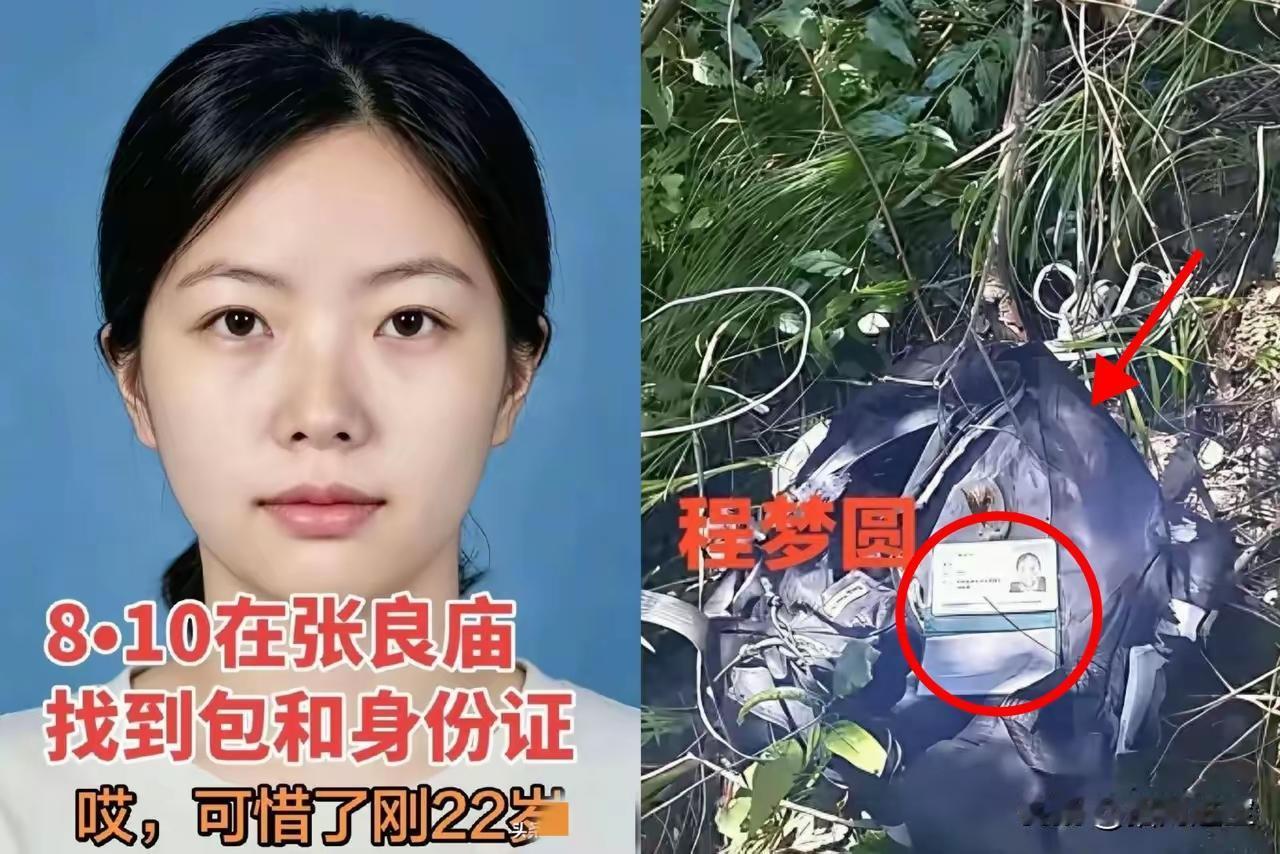 程梦圆走了，账却先到了100多人搜了14天，无人机、搜救犬、十几支民间救援队全