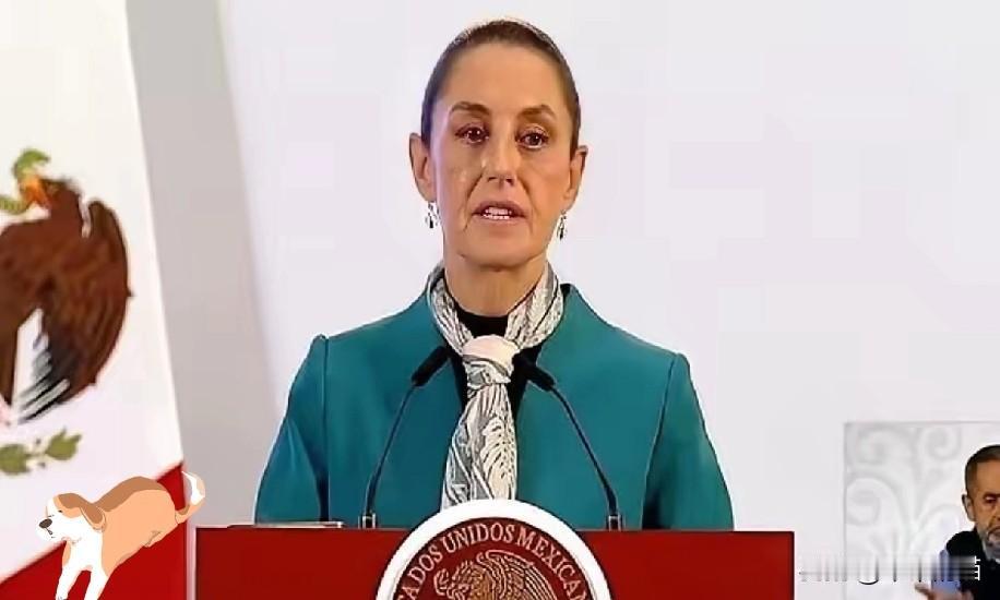 墨西哥以为自己拿到了一张王牌：对两千多种中国货，加征50%的关税。白宫的贸易