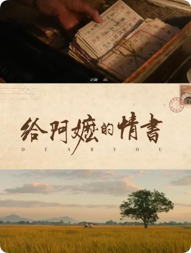 真的想不到，一部“三无”电影产品，竟然能获得2026年感情剧如此高的观众认可！