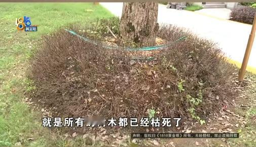 “自爆家丑！”浙江杭州，一女子花900多万，买了一套160平的叠墅加车位。可收房