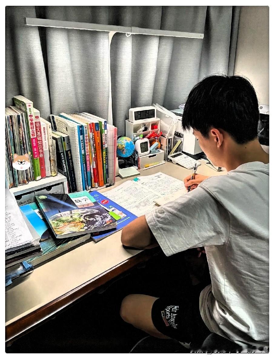 孩子高考估分后索要高额奖励引深思子估分出来了，语文95分，数学115分