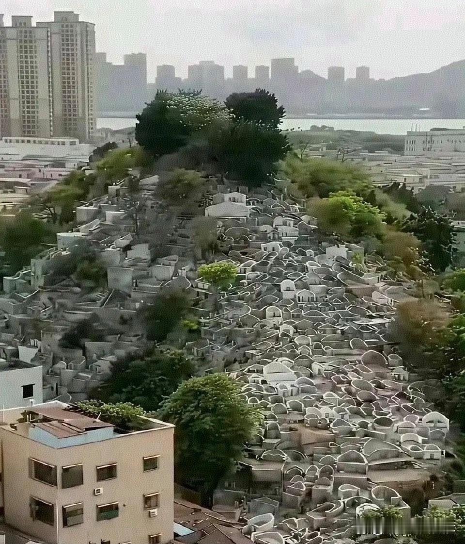 这就是多年后葬的后果​​​