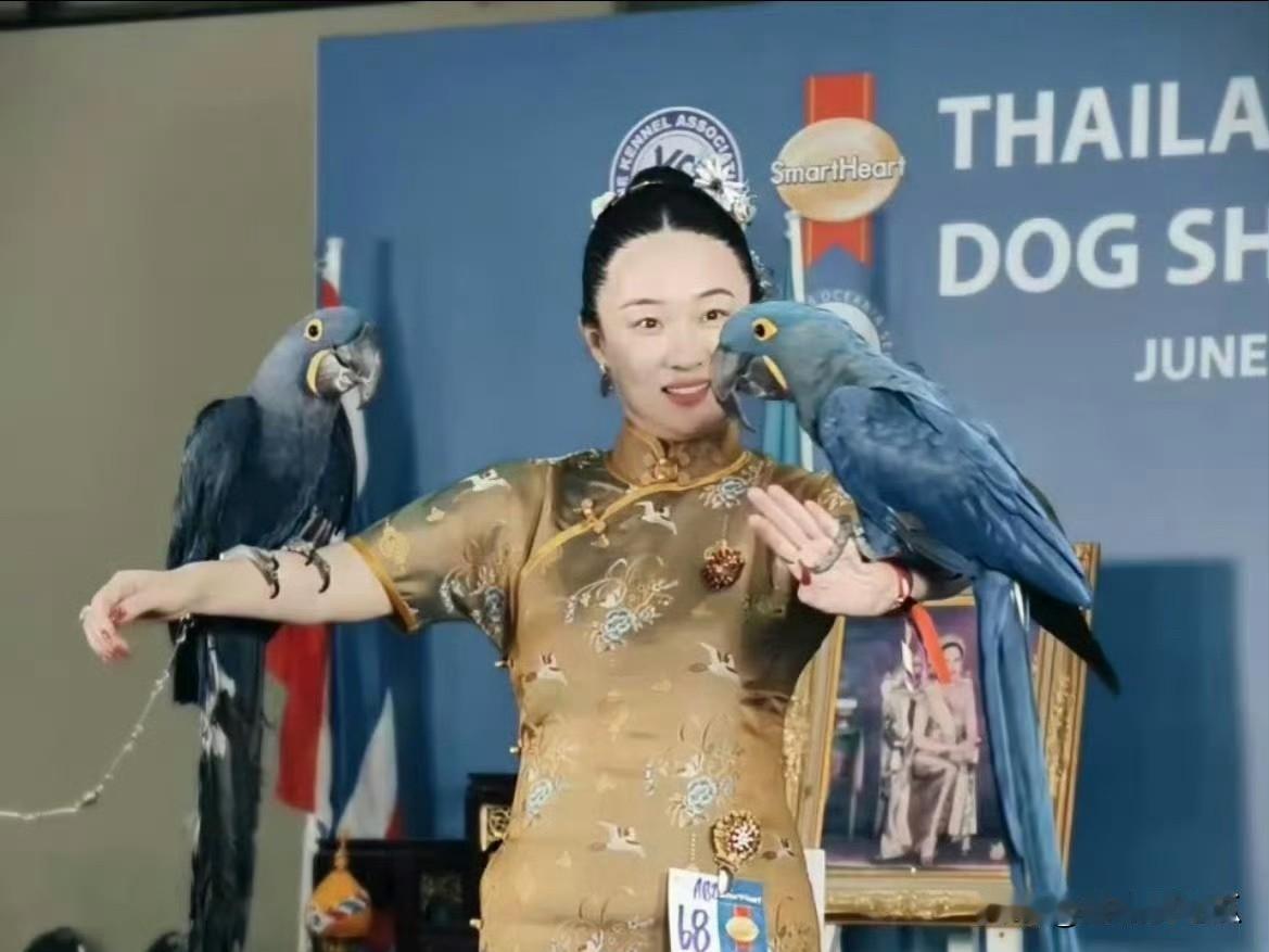 霍思燕不是不爱杜江了也不是不爱孩子了而是她现在财务自由，孩子老公都不需要努