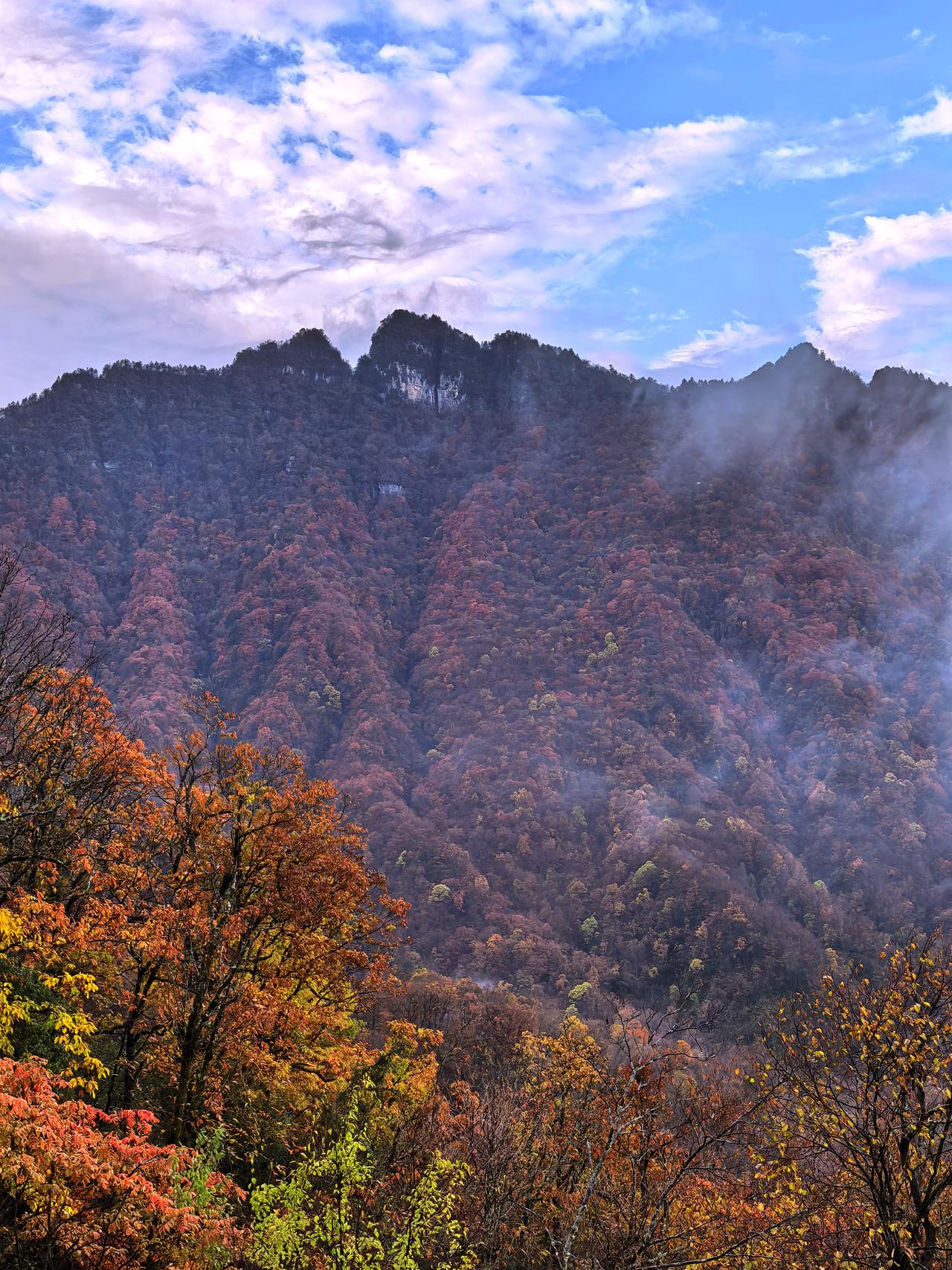 神农架之秋：大自然的绚丽华章神农架的秋天，是一场盛大的色彩狂欢。踏入这片神奇的