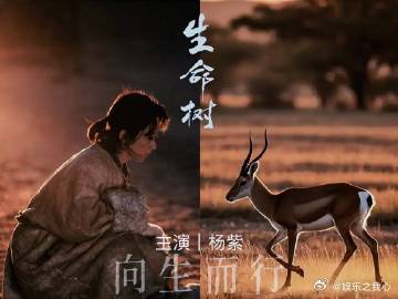 各位小伙伴们！不知道你们有没有过那种，一打开社交平台或者电视，满眼都是某个熟人身