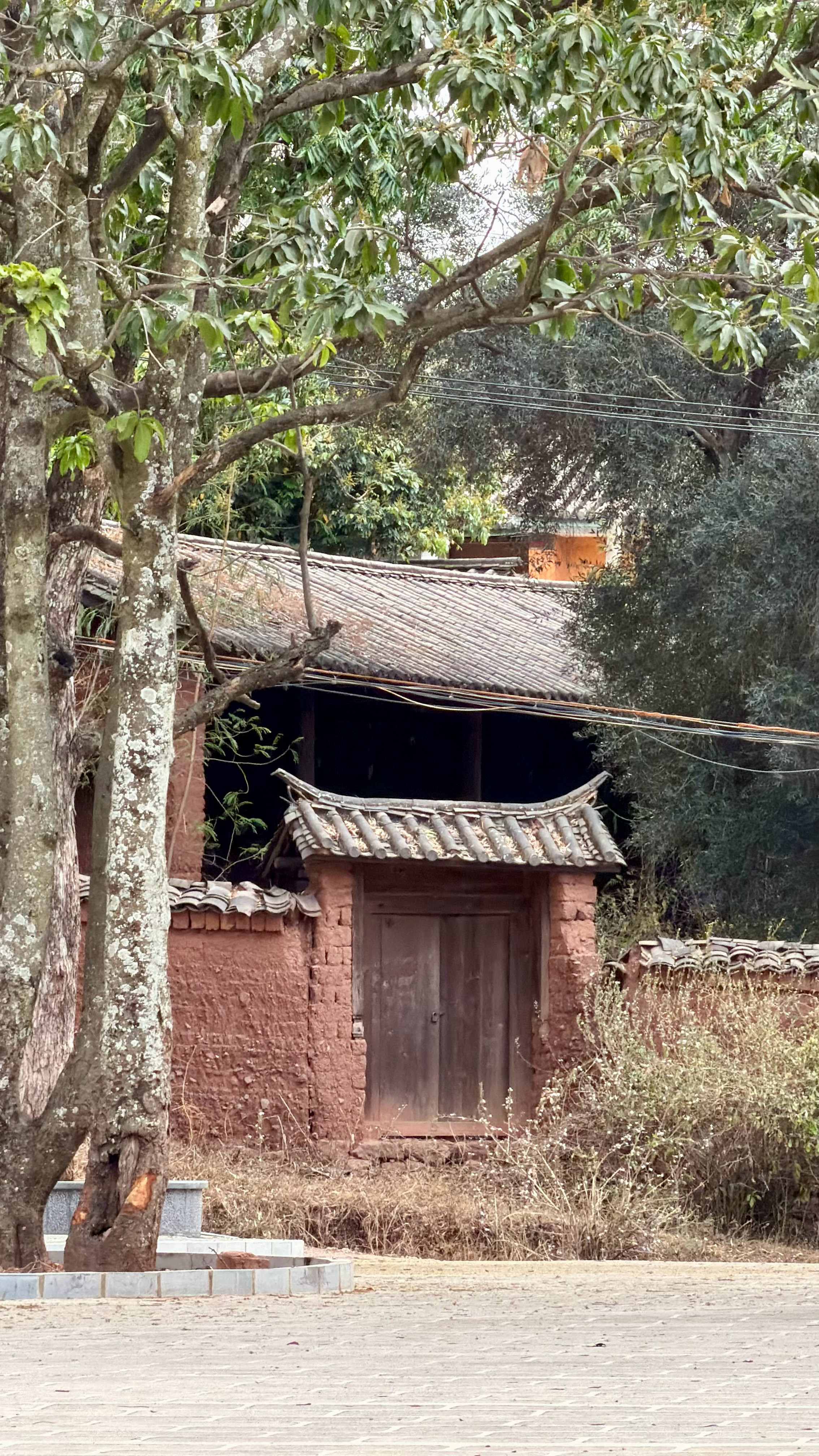 带客人游走丽江小众点永胜，吃过平价的永胜盖帽饭！开车来打卡清水古镇，藏在丽江边上