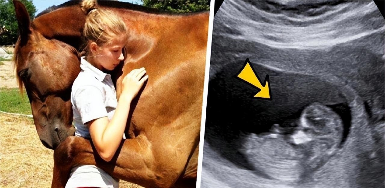 英国一位年轻的女人怀孕后，她家里养的马老是用嘴蹭她的肚子，令她不厌其烦。后来才得