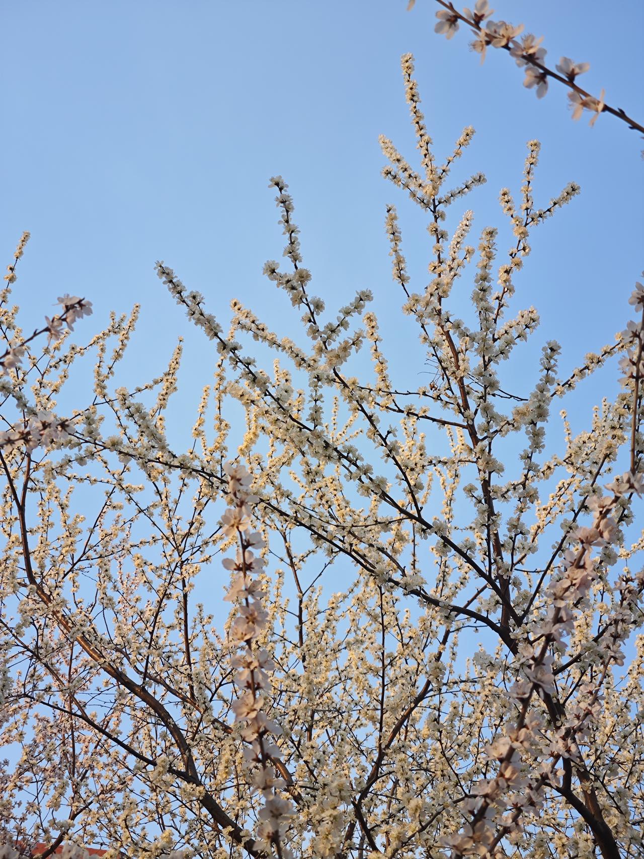 借钱容易还钱难，为何真心帮朋友，最后却寒了心我今年六十多岁了，活了大半辈子