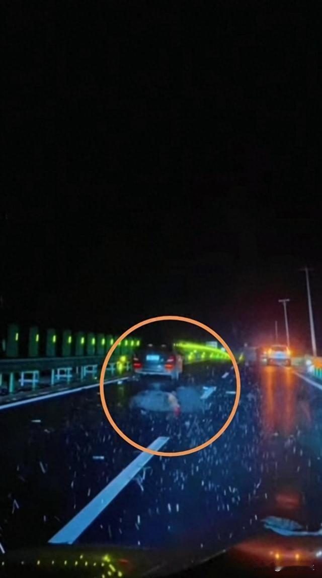 近日，吉林一女子驾车时不幸撞死一头黑熊，引发公众对山区行车安全与野生动物保护的关