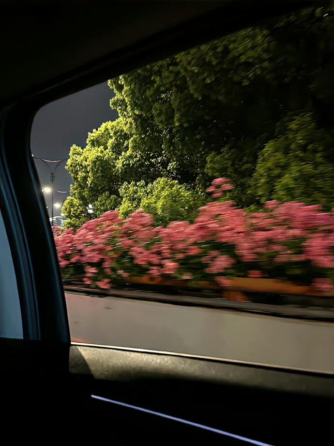 五一出游文案记📋⋆꙳⊹🍃⋆౨ৎ˚˖🌳⸝⋆꙳✎:享受春恒溢四季夏天是樱花