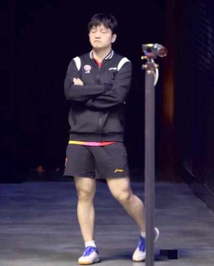 樊振东这个人，虽然他身上哪儿哪儿都很优秀，但他唯独有一个黑点，那就是——说