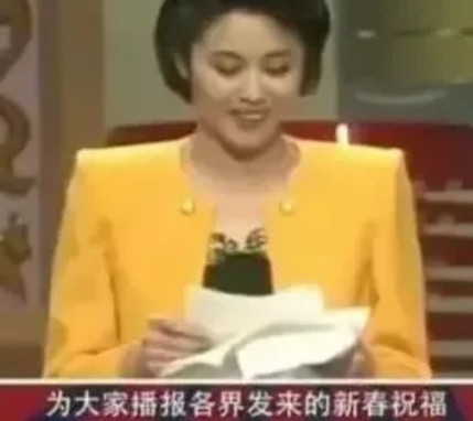 1991年，倪萍第一次主持春晚，在后台休息的倪萍，被导演叫住：“这是各大地区代表