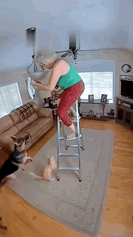 家庭豢养大型宠物弄不好真的要命啊！看看这位老人，恐怕是摔得不轻，即便是活着也是瘫