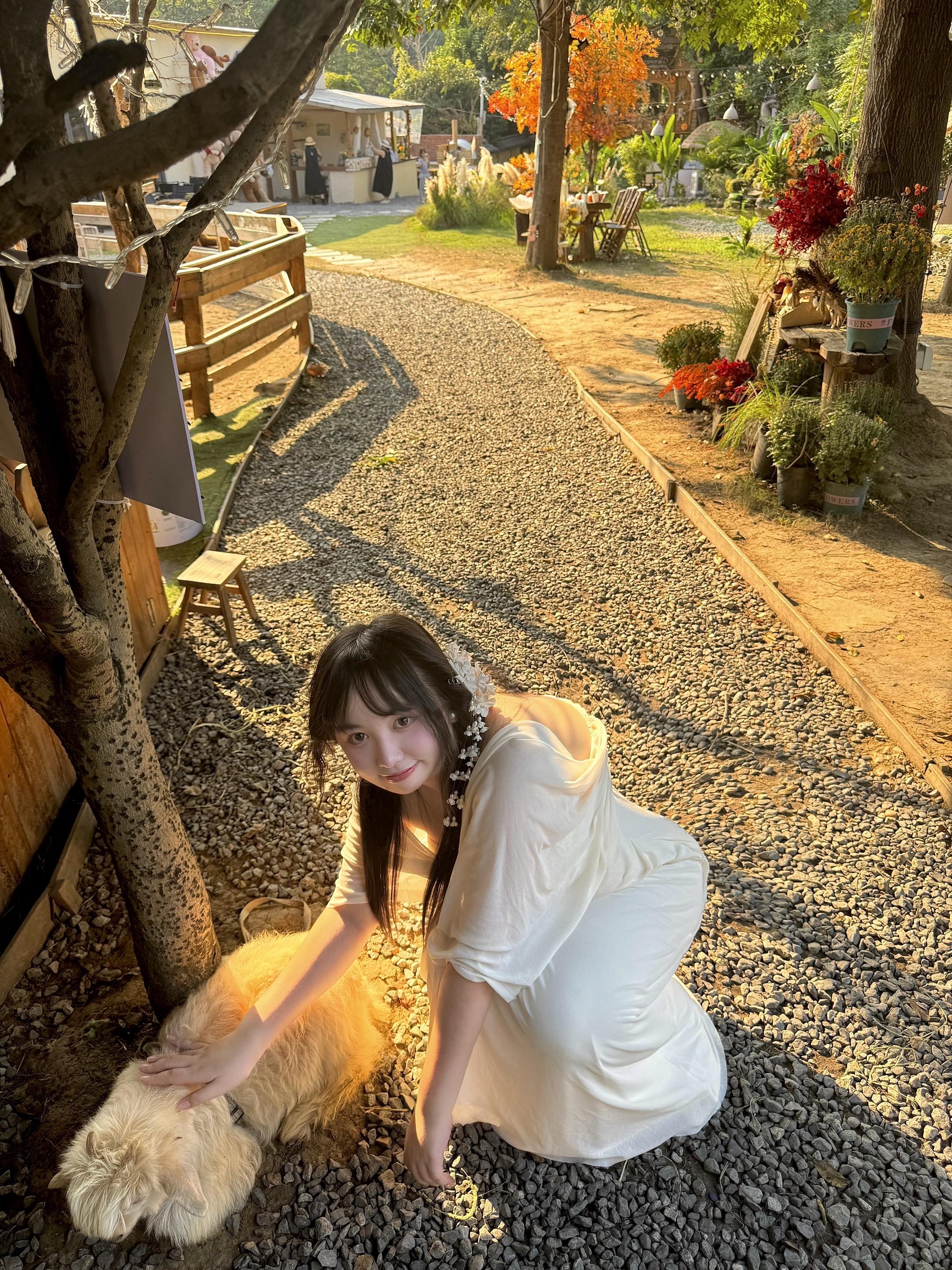 在秋日里看见小羊羔ᜊ꒰๑˃͈꒵˂͈๑꒱ᜊ。