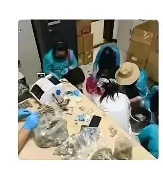 请看南通森林野生动物园的“神”操作南通一名2岁的女童突患恶性肿瘤，她家里急需要