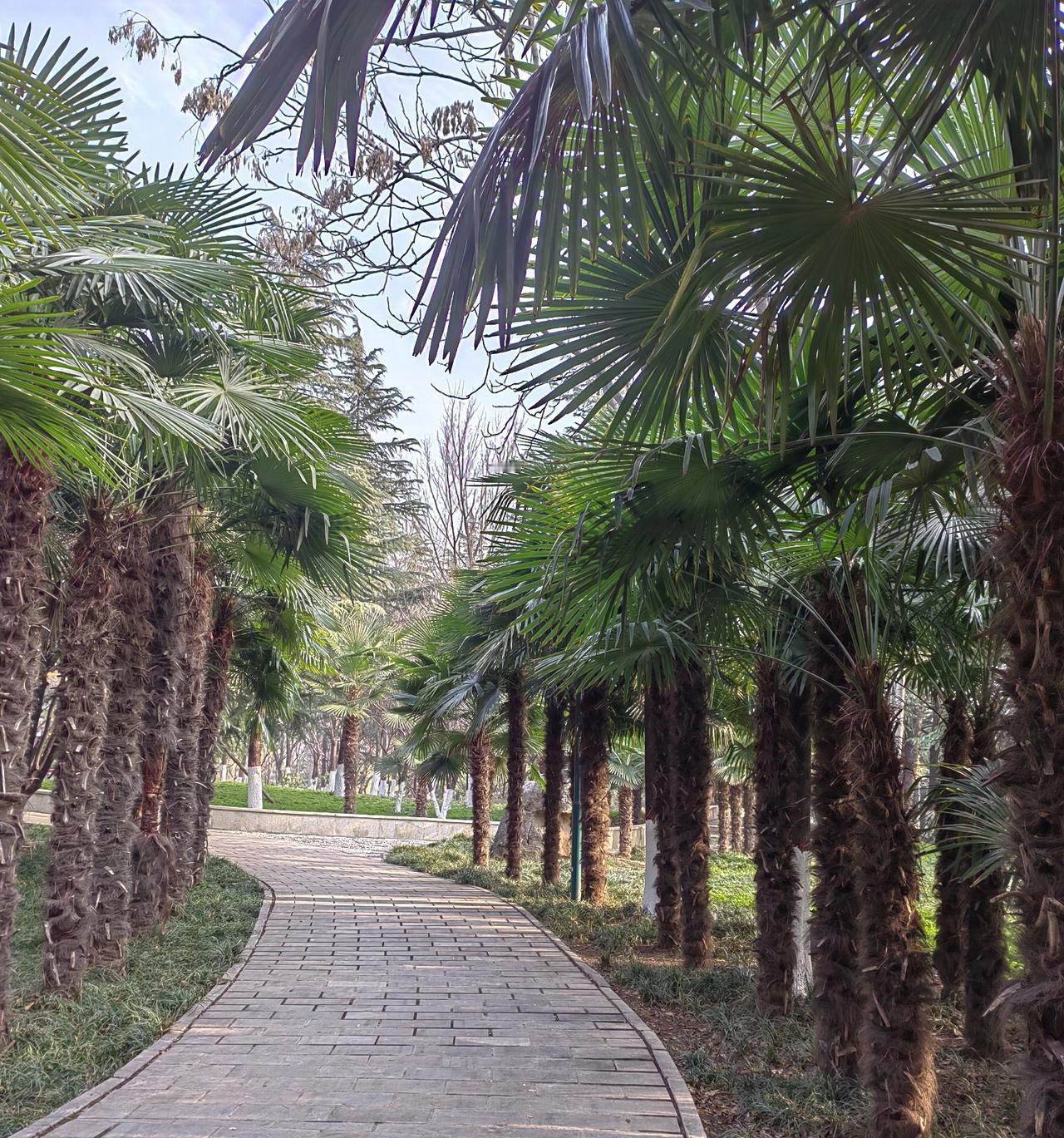 单位有个最大的忌讳，领导最怕、最恨下属说他没能力，因为说他没能力，相当于把他全部