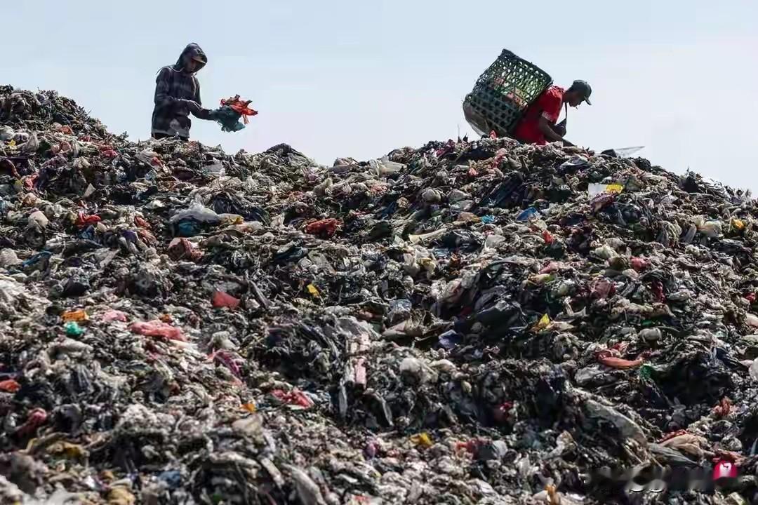 最近看到消息说中国垃圾焚烧厂纷纷赴东南亚“找垃圾”，这事儿挺有意思。随着中国环保