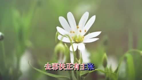 不求名来名自扬简谱_小星星简谱