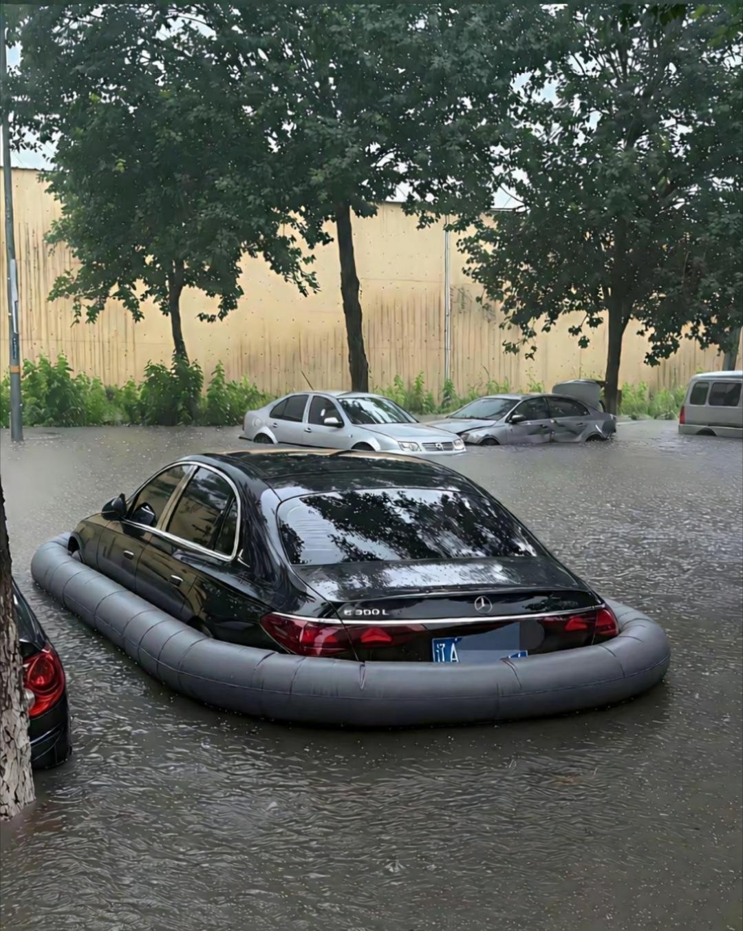 只要是底子厚实，根本无惧风雨​​​