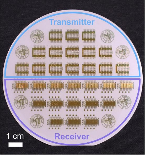 芯片革命一夜引爆！1月29日凌晨0点，全球科学界被中国“偷袭”！1月29日0