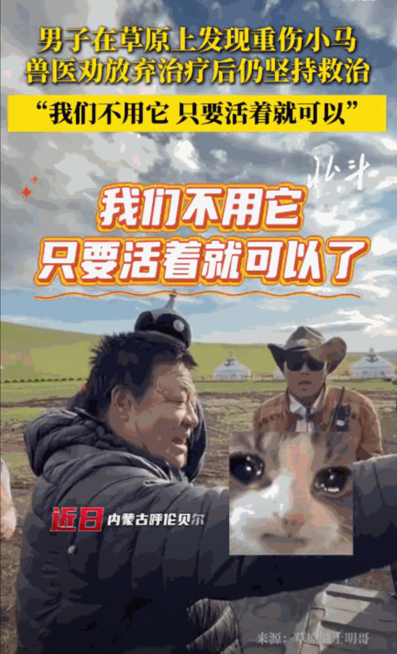 “太有灵性了！”呼伦贝尔，男子在草原上游玩时，被一匹母马拦住了去路！母马脚边躺着