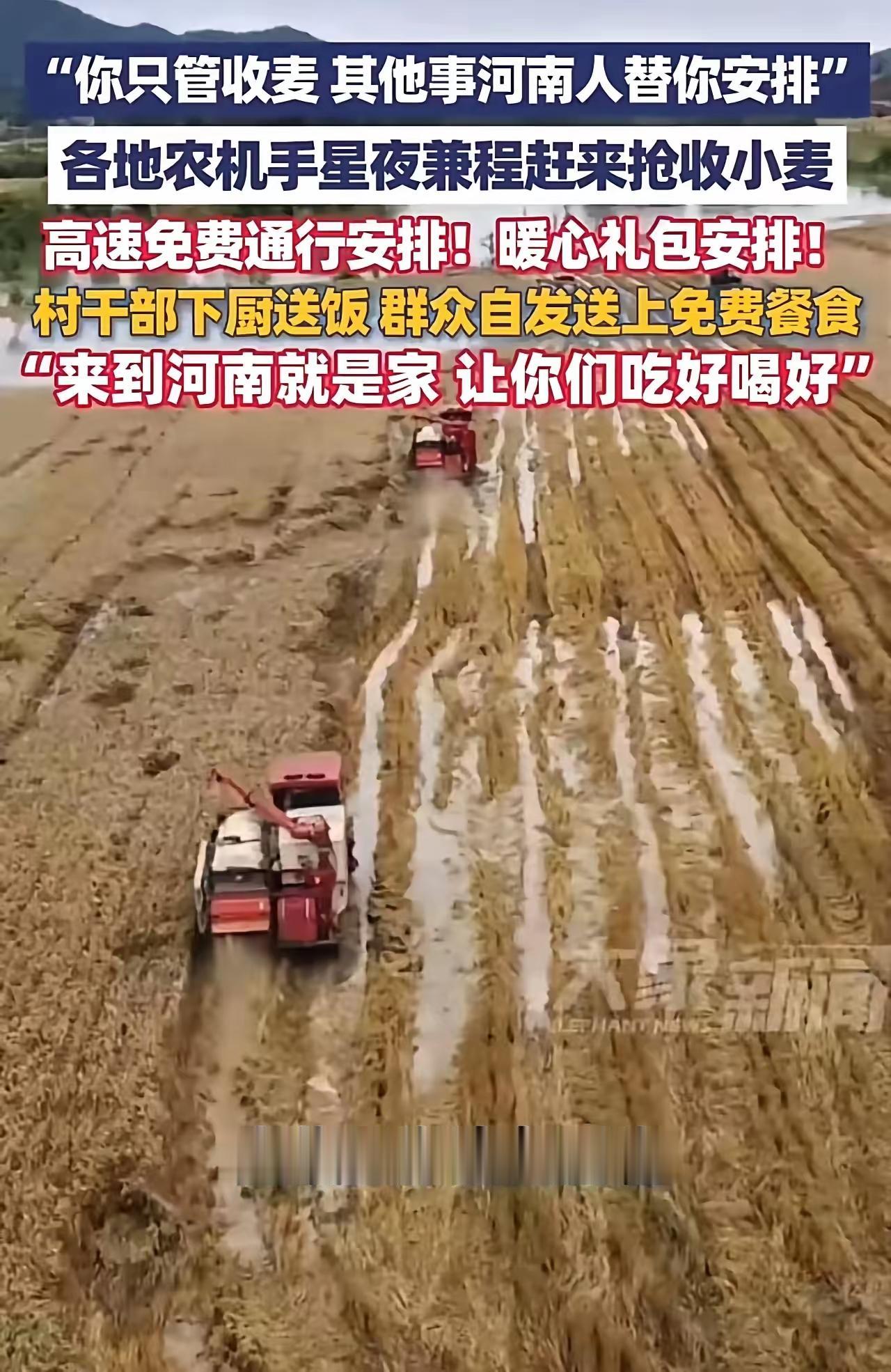 “真的是没有对比就没有伤害啊！”湖北大妈“割四赔五”让农机手倒贴钱，河南老乡却追