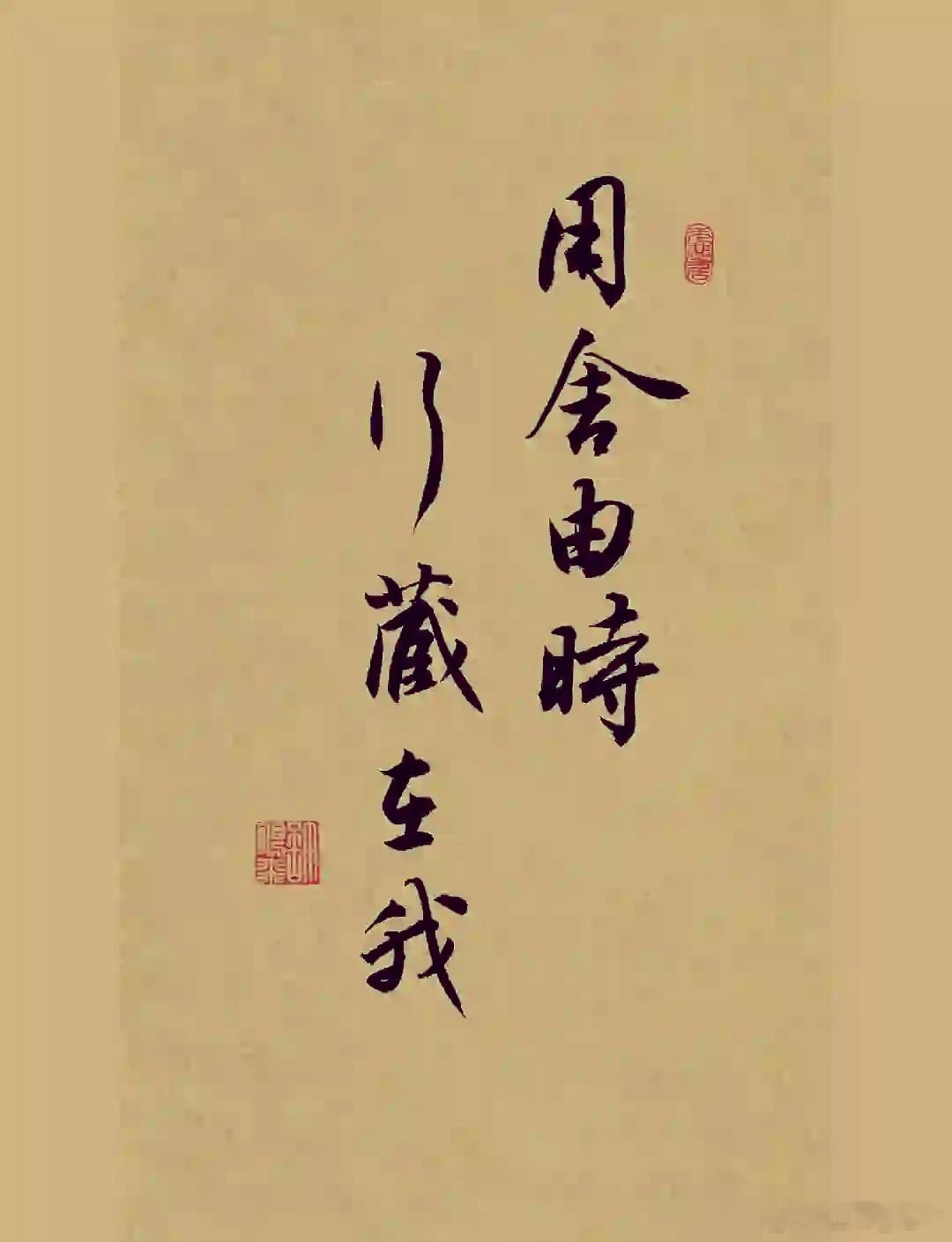 “用舍由时，行藏在我”，出自宋代苏轼的《沁园春·孤馆灯青》，意思是被任用或者不被