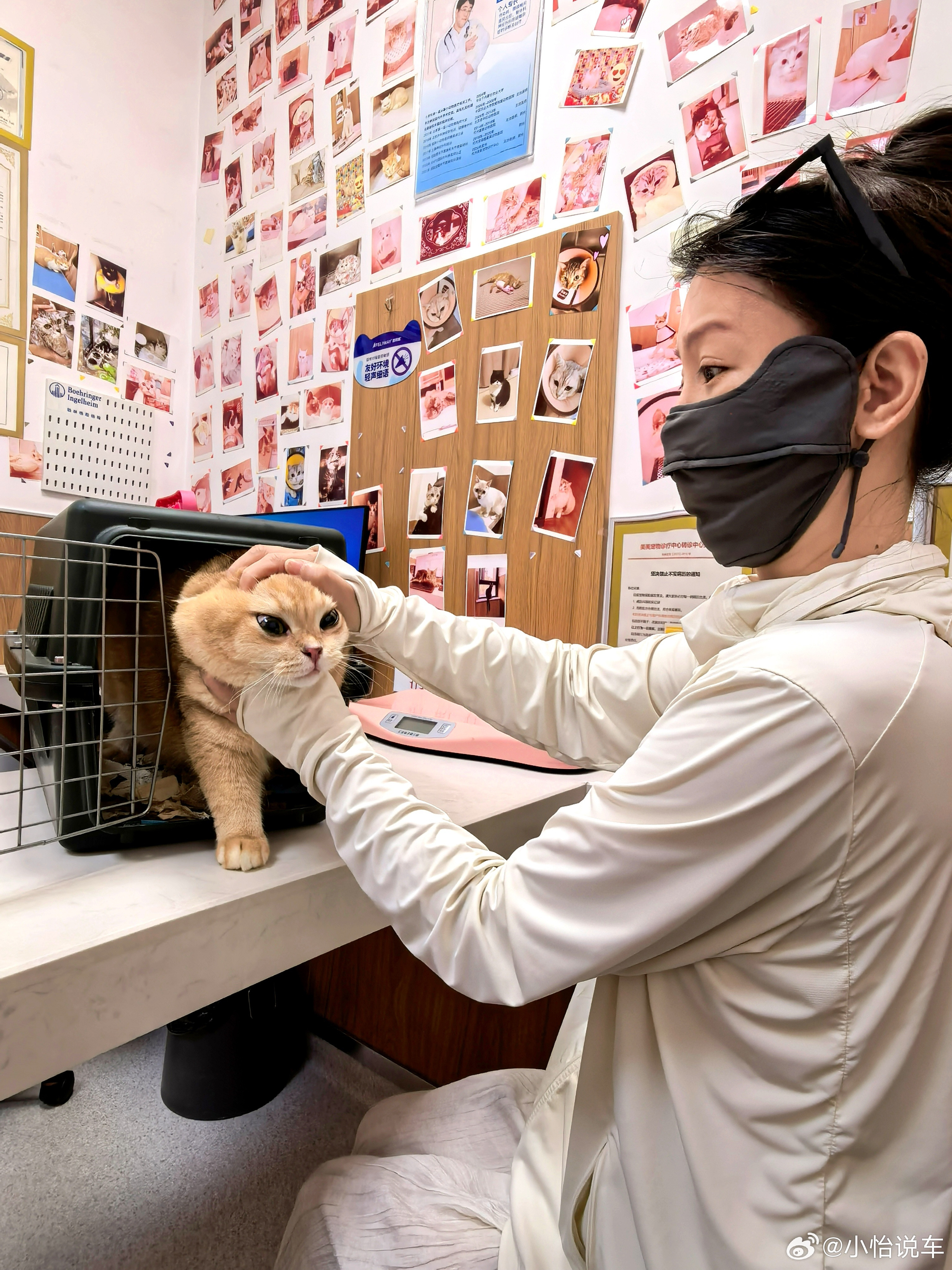 到宠物医院做检查来啦，医生说我的小猫不爱喝水，要多喝点水[捂脸哭]，你们家的小猫爱