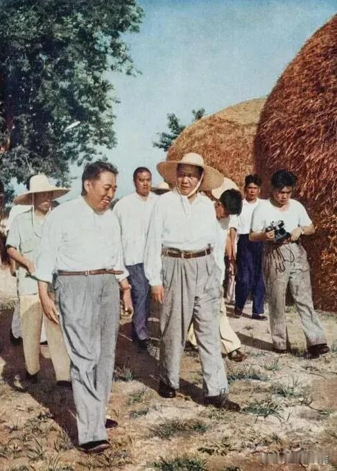 这是1958年8月7日，他担任河南省委第一书记时陪同下毛主席视察河南省襄城县烟田
