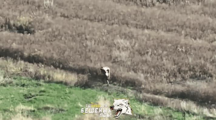 什么叫战友情？一名俄军战士扛着受伤严重的队友穿越火线！冒着生命危险把他的战友扛回