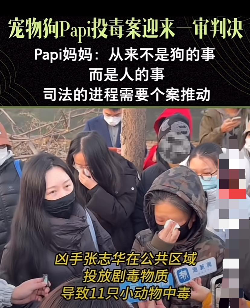 北京李女士被骂惨了，带头闹着要人狗同权，太异想天开了北京李女士真是表演家，