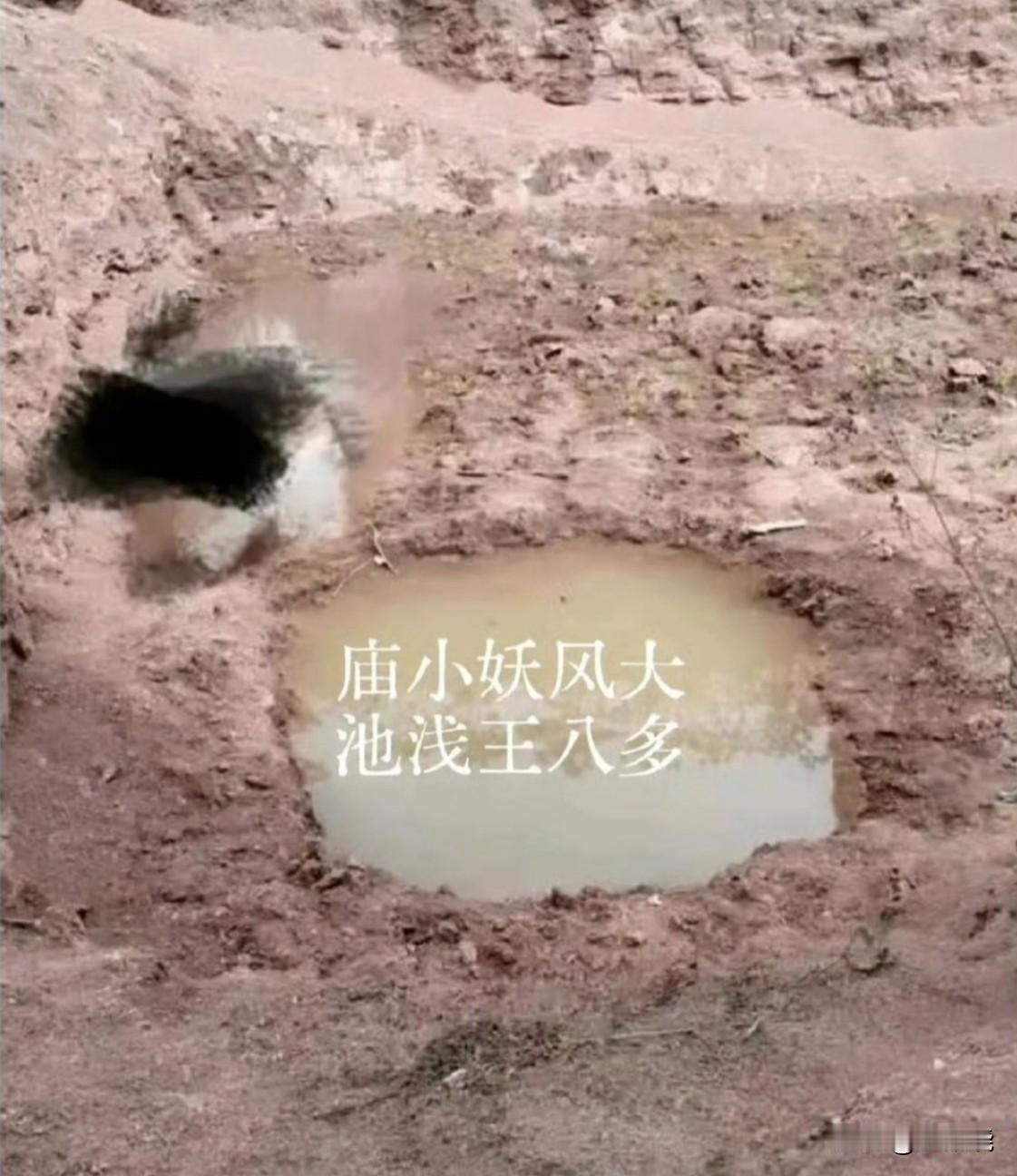 分享《职场夹缝中的生存智慧》不管在哪个单位工作，没人提拔你，就不要把工作当事业