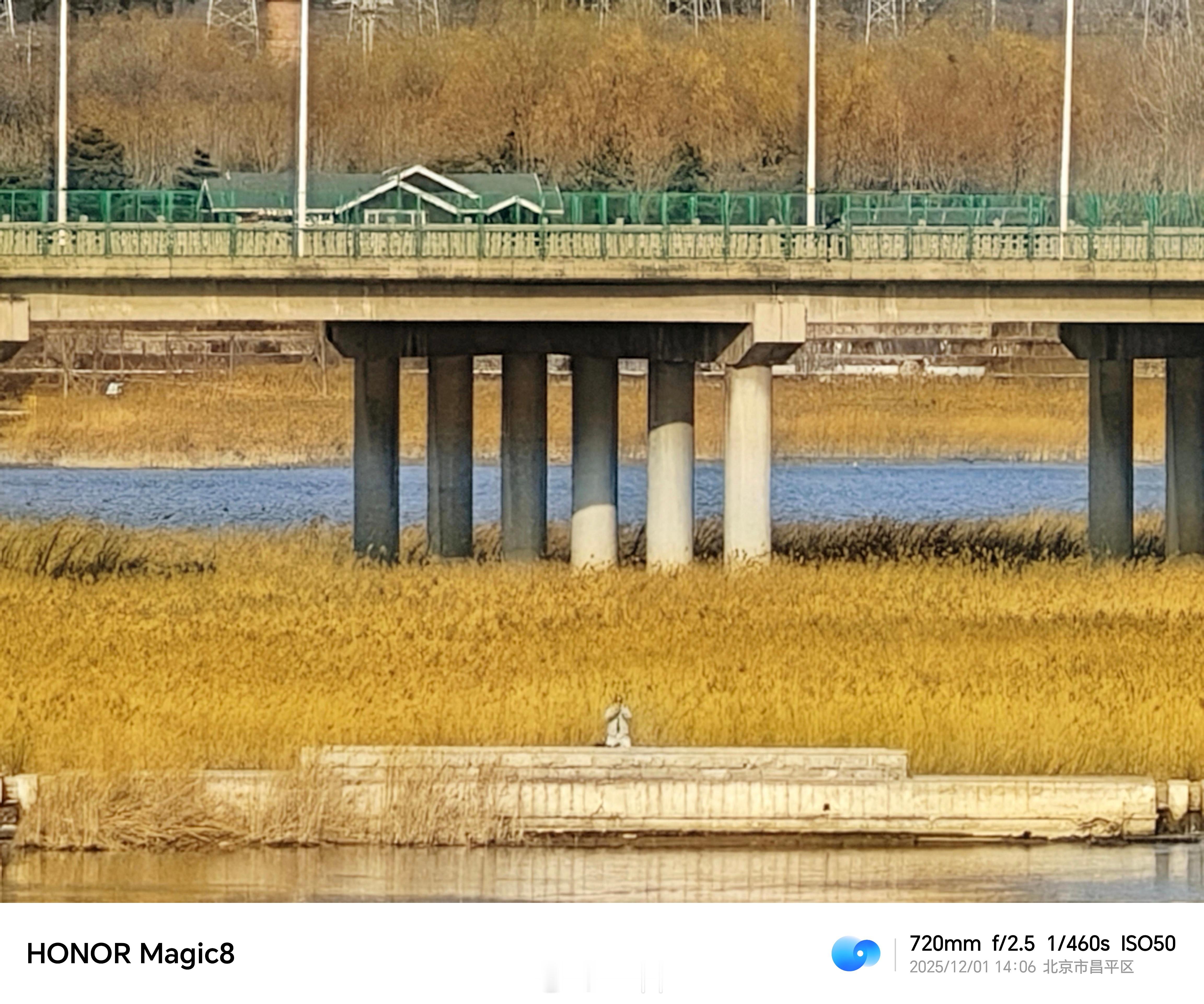 荣耀Magic8系列AI追色功能太强了，拍照很省心…这次真是玩儿明白了！AI算法